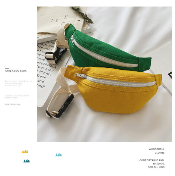 Assorted Fanny Packs